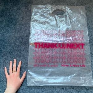 Thank You Next Bag 2025